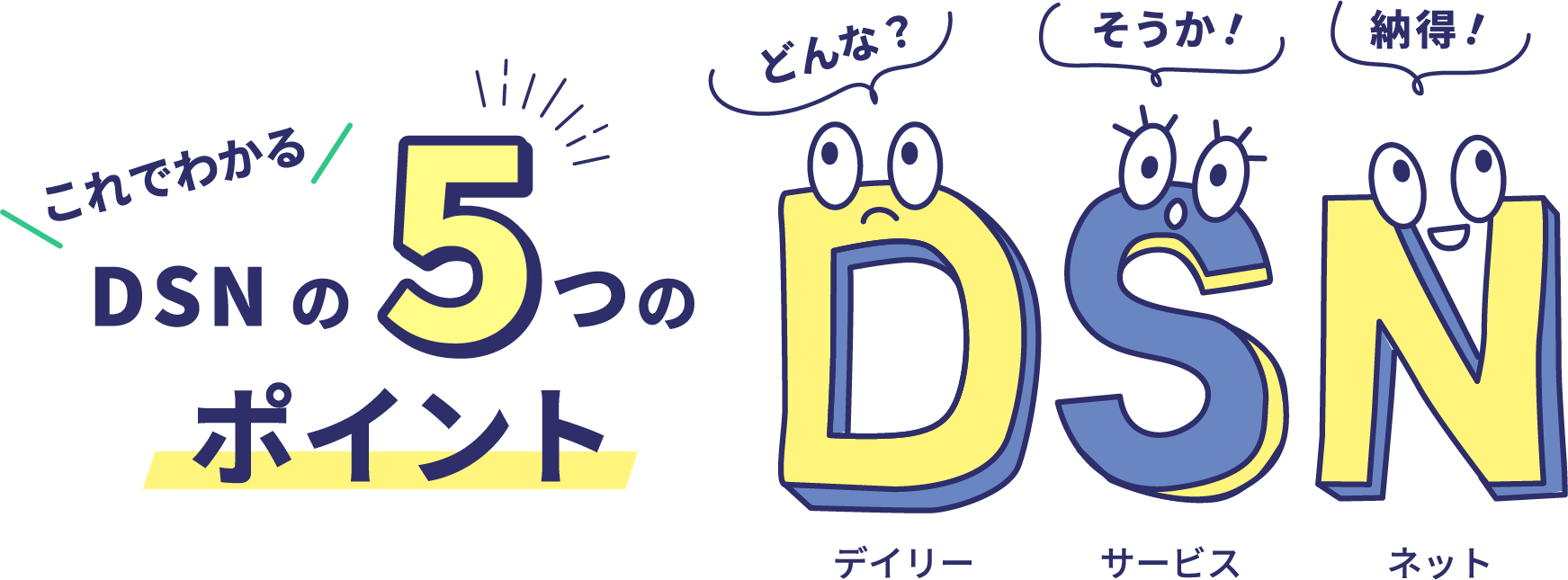 これでわかる DSNの5つのポイント